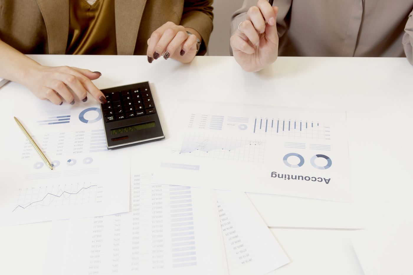 Accounting Software case study
