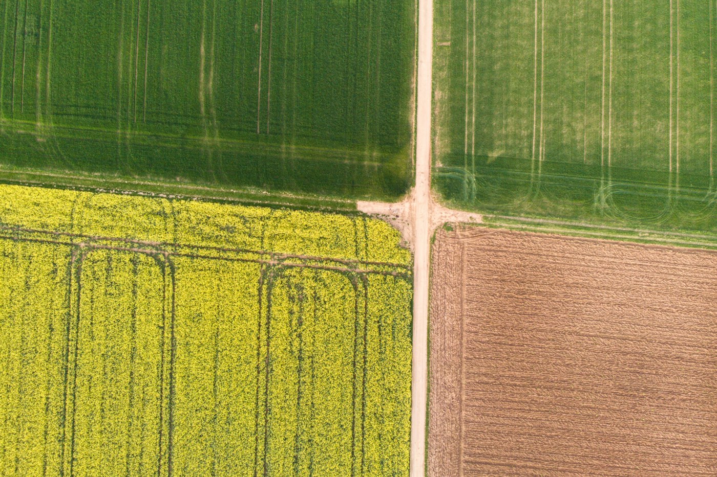 Agriculture, Farming & Forestry case study
