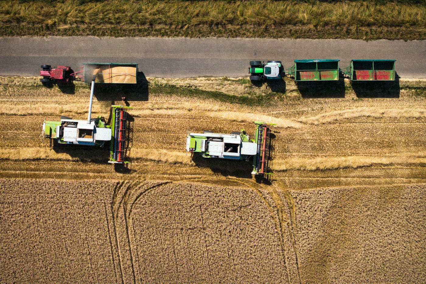 Agriculture Products & Commodities case study