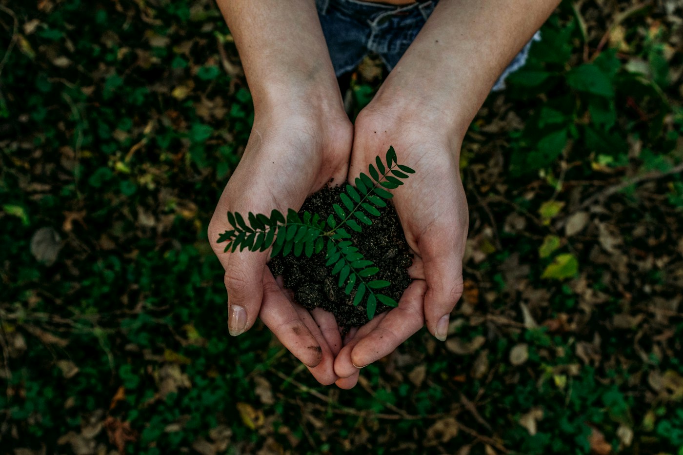 Environmental Services case study