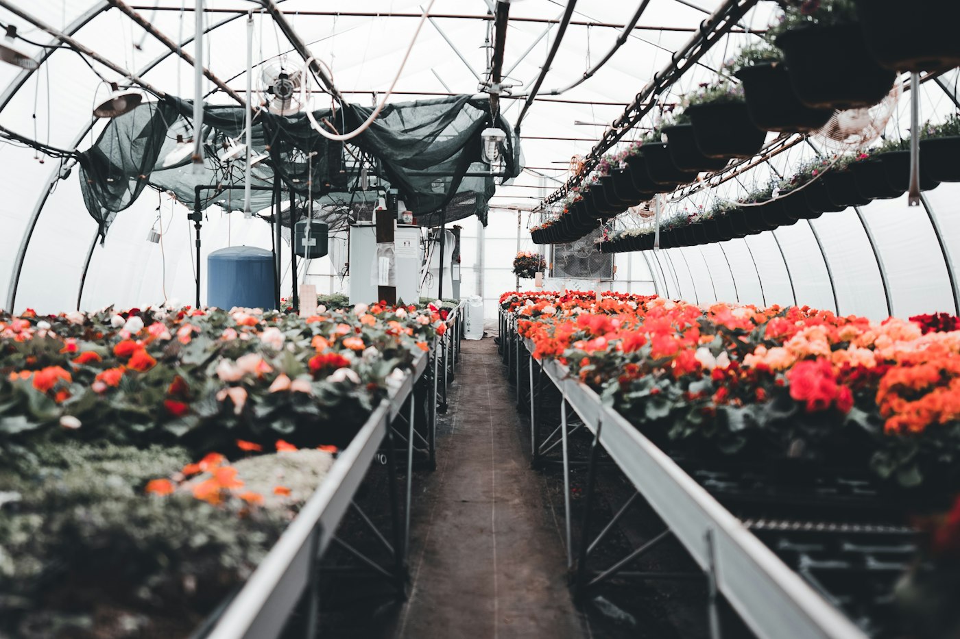 Floriculture case study