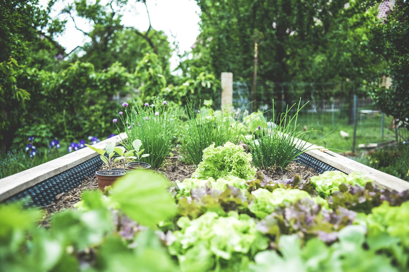 Horticulture case study