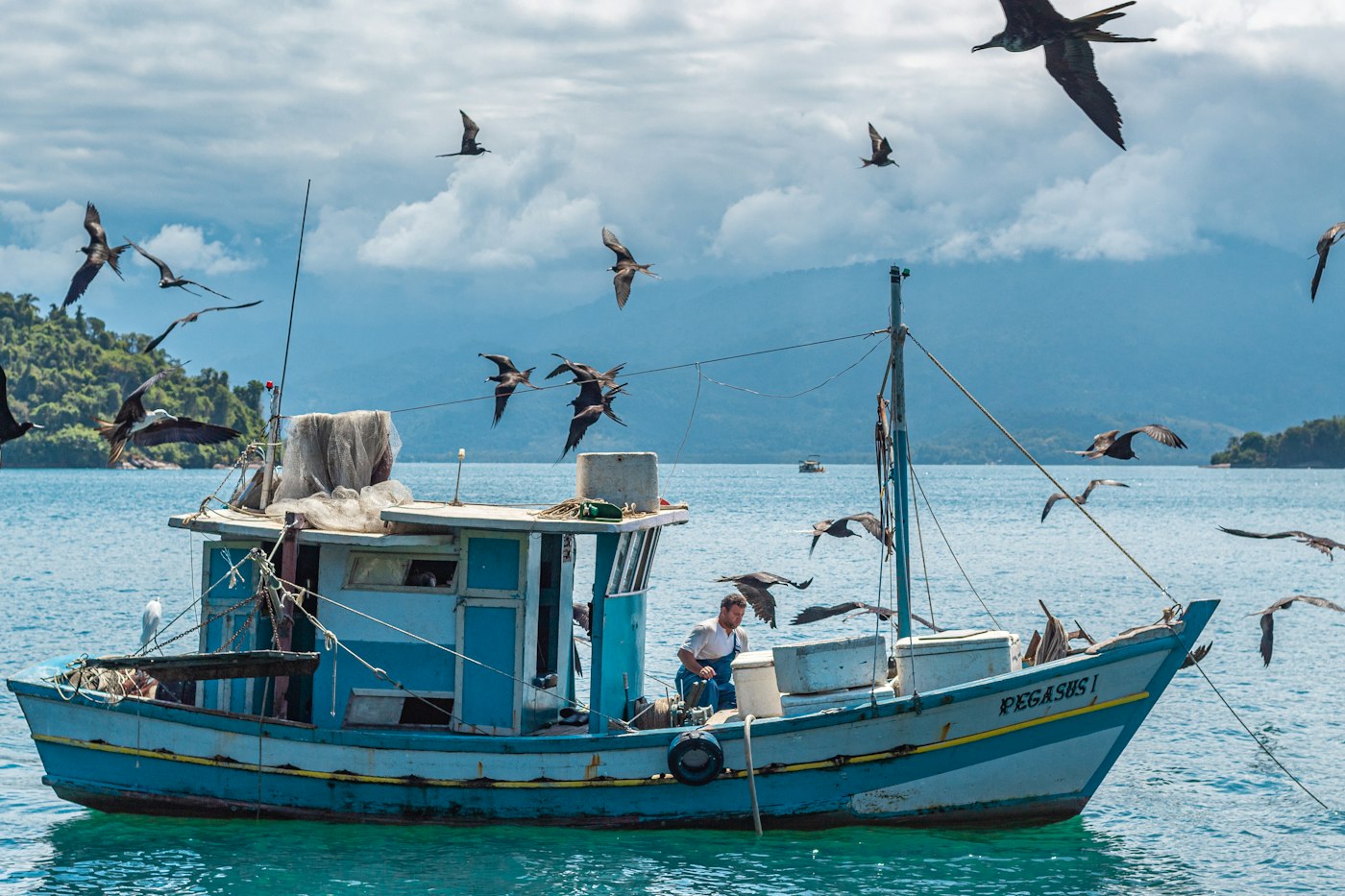 Marine & Fisheries case study