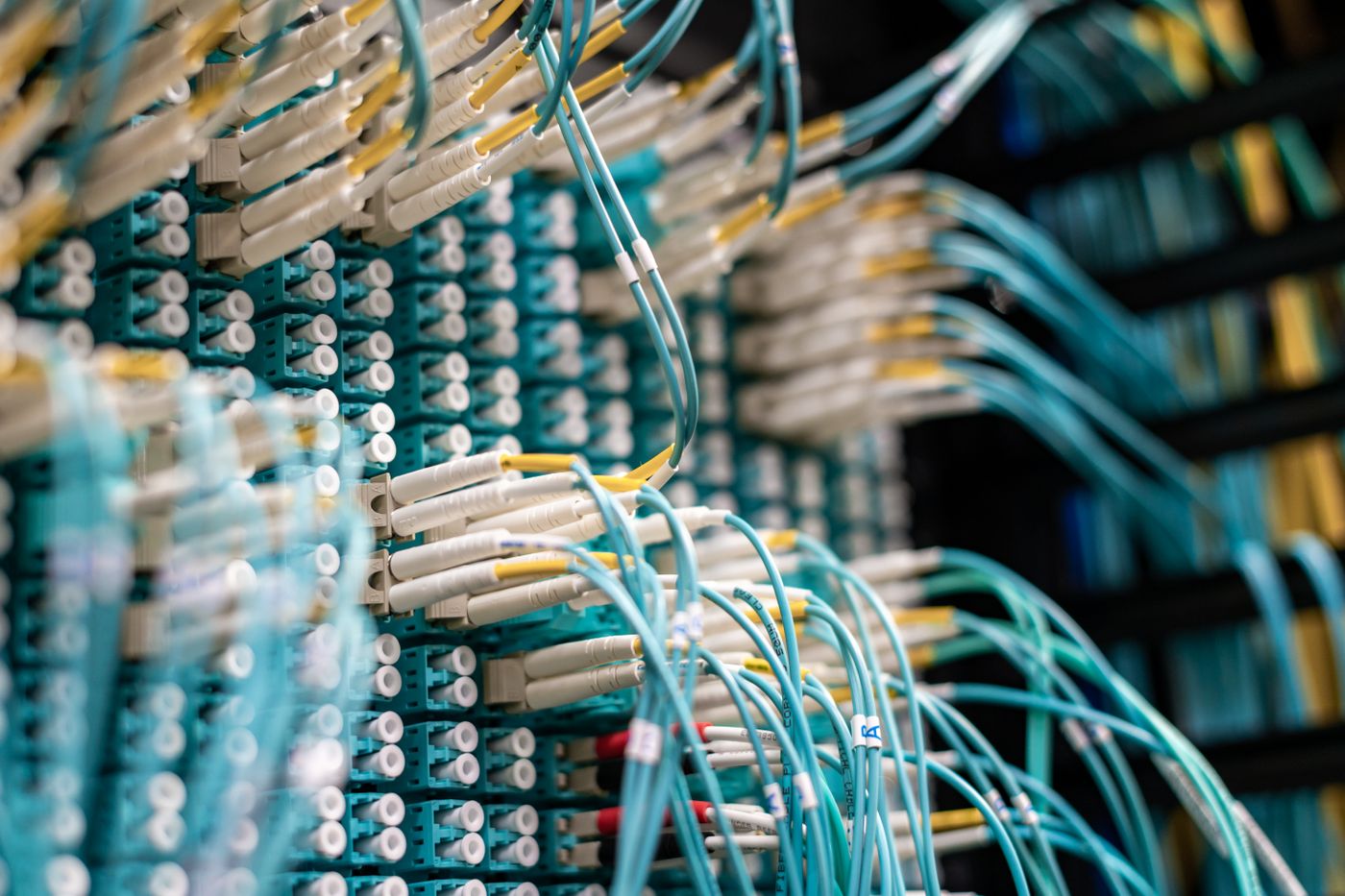 Master Data Management case study