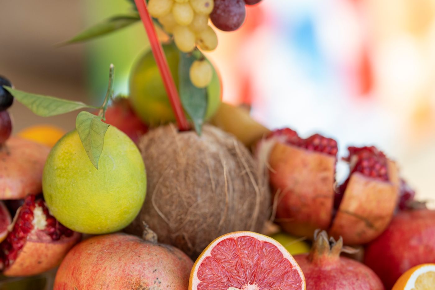 Nutrition & Wellness case study