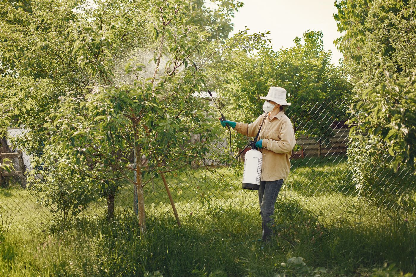 Pest Control case study